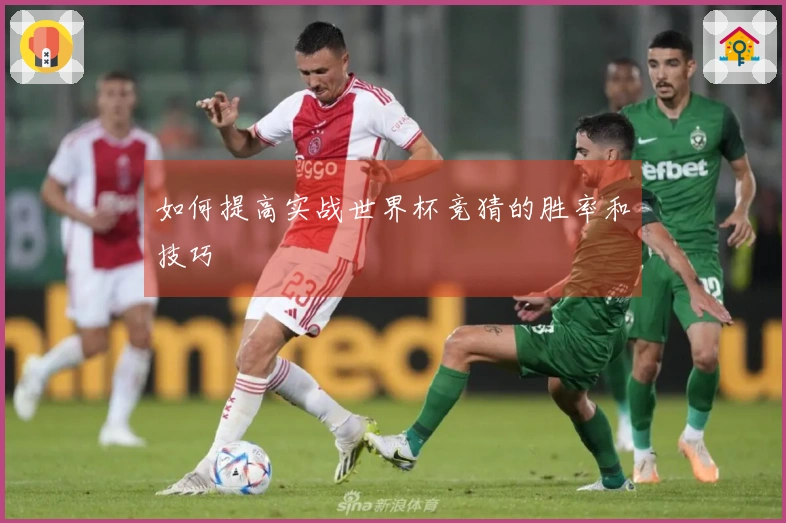 如何提高实战世界杯竞猜的胜率和技巧