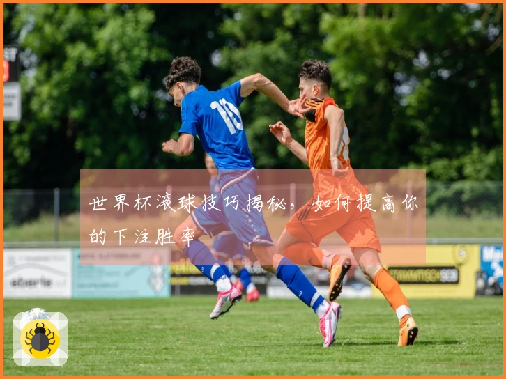 世界杯滚球技巧揭秘，如何提高你的下注胜率