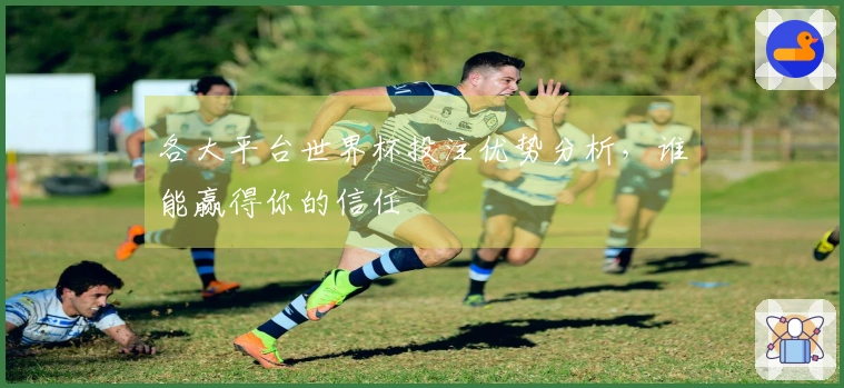 各大平台世界杯投注优势分析，谁能赢得你的信任